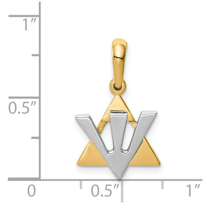 14k Two-tone Gold Star of David Shin Charm Pendant for Women