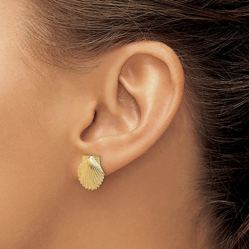 14k Yellow Gold 2-D Polished Scallop Shell Earrings