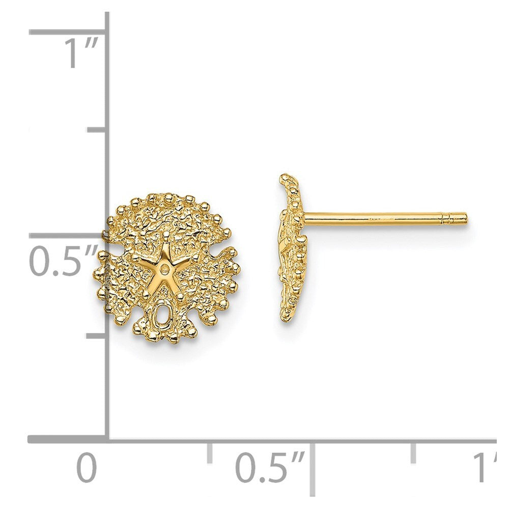 14k Yellow Gold Textured Sand Dollar Stud Earrings Gift for Women