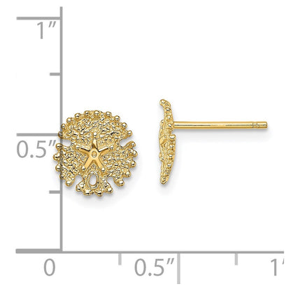 14k Yellow Gold Textured Sand Dollar Stud Earrings Gift for Women