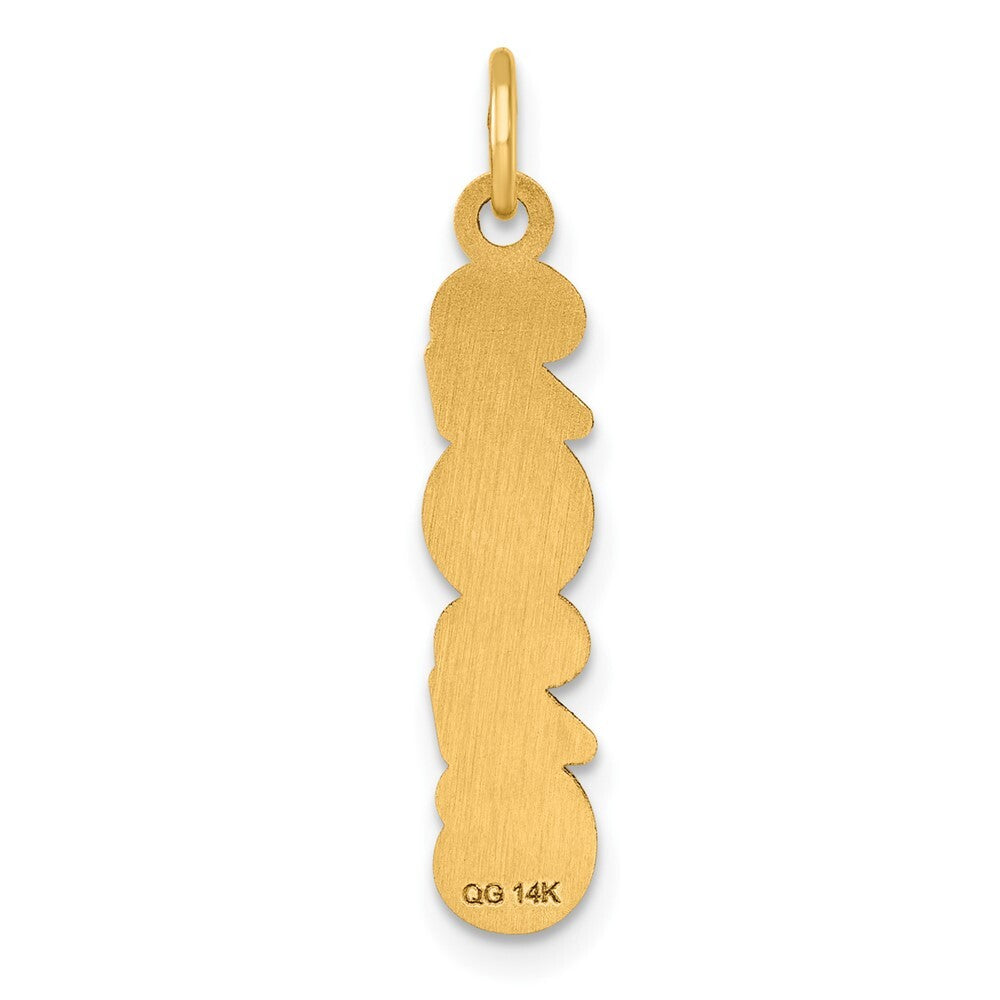 14k Yellow Gold Polished and Satin Vertical 2026 Charm