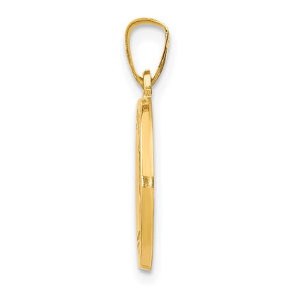 14k Yellow Gold Polished and Satin St Luke Medal Hollow Pendant