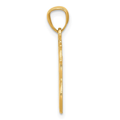 14k Yellow Gold Polished Interlocking Giraffes Pendant for Women