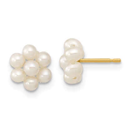 14k Yellow Gold 2-3mm Button Freshwater Cultured Pearl Flower Stud Earrings