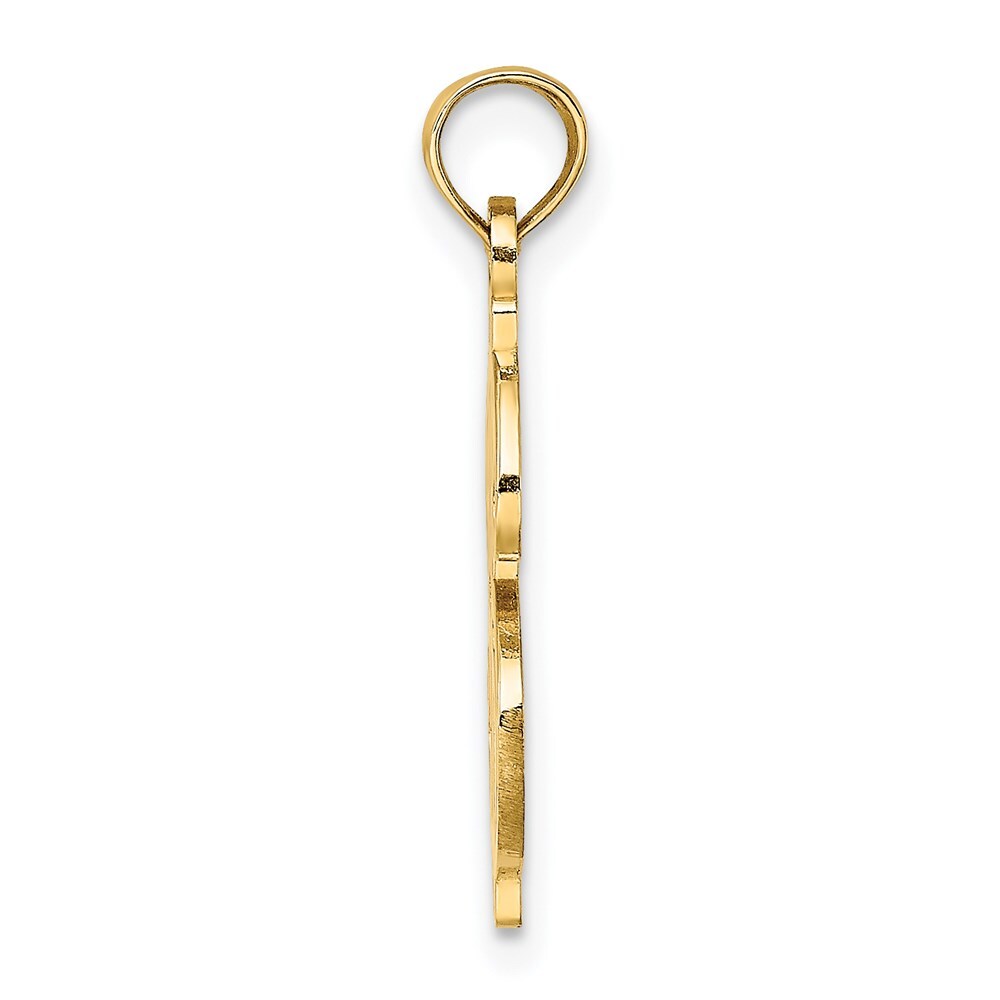 14k Yellow Gold Textured Dollar Sign Charm Pendant for Women