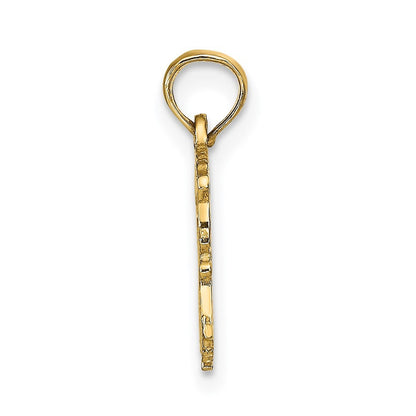 14k Yellow Gold AQUARIUS Zodiac Charm