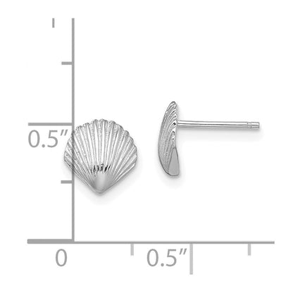 14K White Gold Scallop Shell Stud Earrings Gift for Women