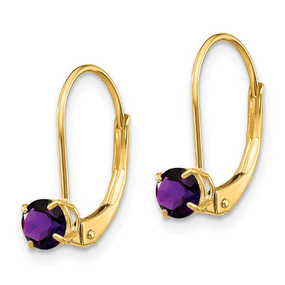 14k Yellow Gold Amethyst Earrings - February
