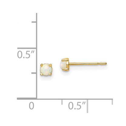 14k Yellow Gold Synthetic Lab Created Opal Stud Earrings Gift for Women