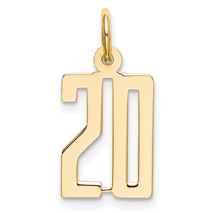 14k Yellow Gold Small Elongated Number 20 Charm Pendant for Women