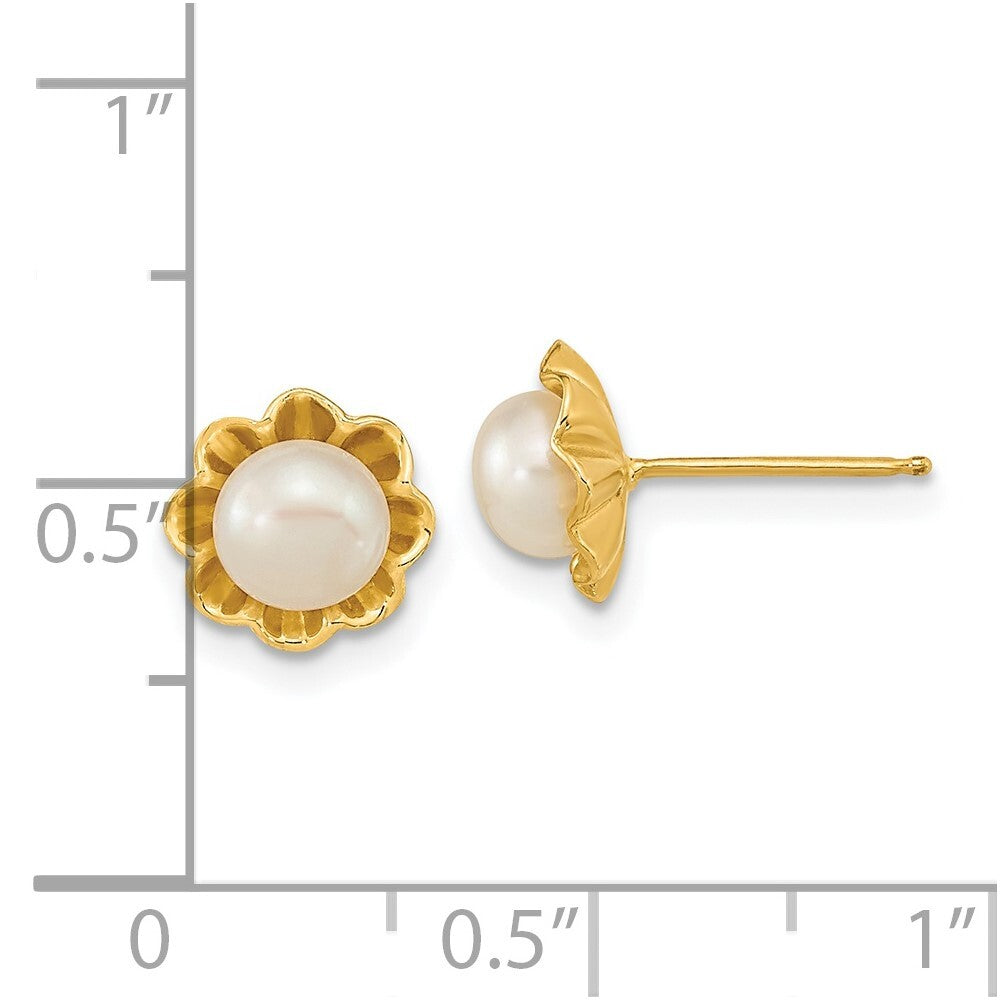 14k Yellow Gold 5-6mm White Button Freshwater Cultured Pearl Stud Earrings