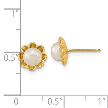 14k Yellow Gold 5-6mm White Button Freshwater Cultured Pearl Stud Earrings