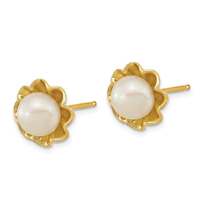 14k Yellow Gold 5-6mm White Button Freshwater Cultured Pearl Stud Earrings