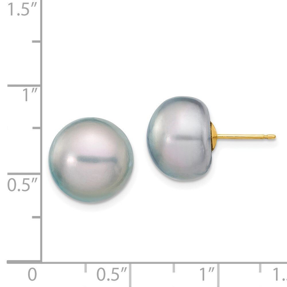 14k Yellow Gold 12-13mm Grey Button Freshwater Cultured Pearl Stud Earrings