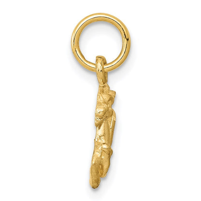 14k Yellow Gold Satin Diamond-cut Capricorn Zodiac Charm Pendant