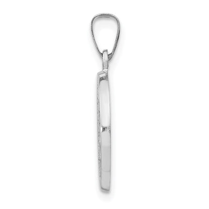 14k White Gold Polished / Satin Miraculous Medal Hollow Pendant for Women