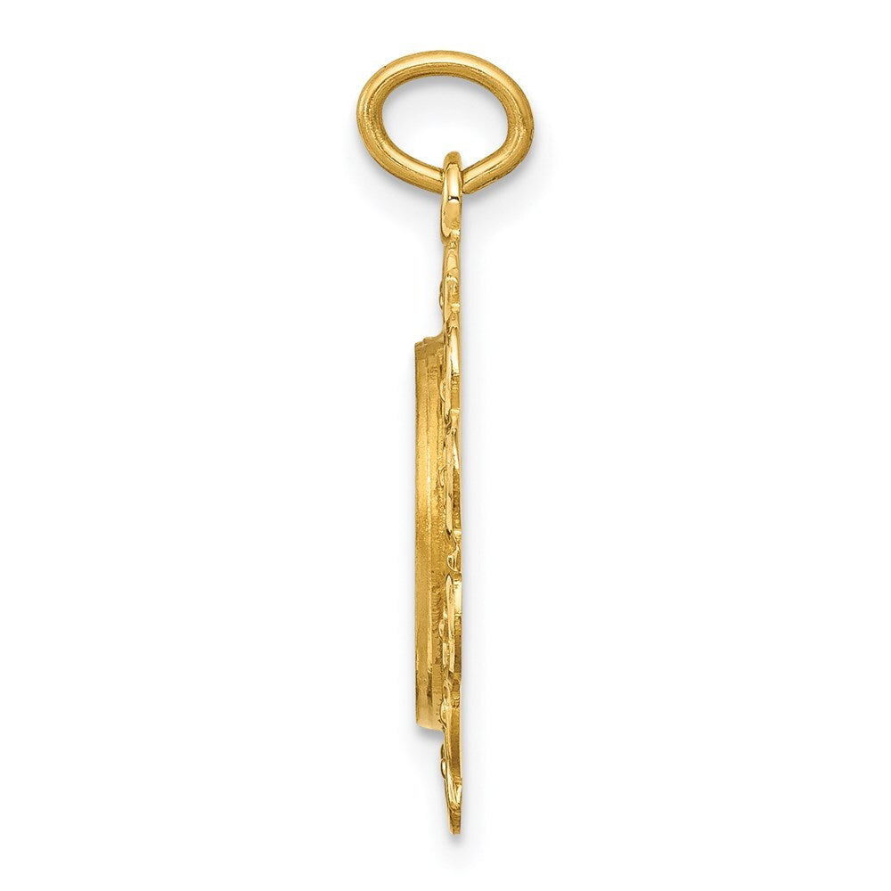 14k Yellow Gold Polished/Satin Spanish 1st Communion Medal Hollow Pendant