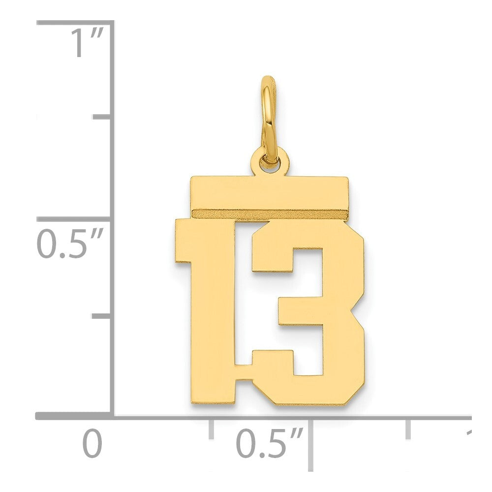 14k Yellow Gold Small Polished Number 13 Charm Pendant for Women