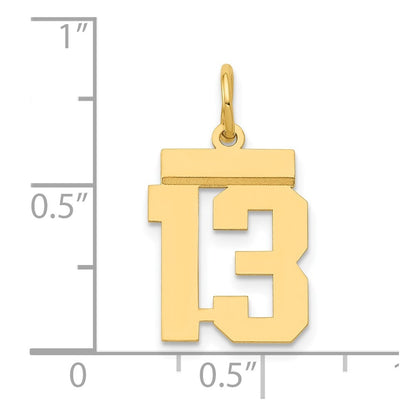 14k Yellow Gold Small Polished Number 13 Charm Pendant for Women