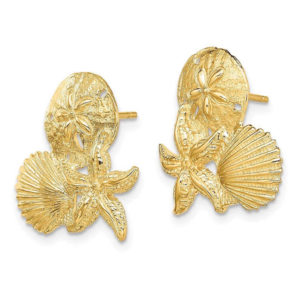 14k Yellow Gold Sand Dollar, Starfish, ,Scallop Cluster Stud Earrings