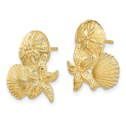 14k Yellow Gold Sand Dollar, Starfish, ,Scallop Cluster Stud Earrings