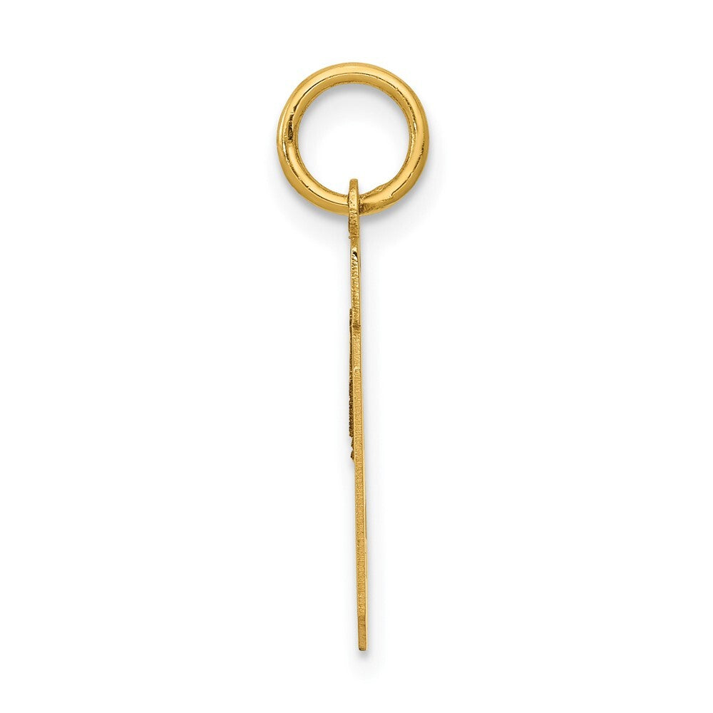 14k Yellow Gold Small Polished Number 19 Charm Pendant for Women