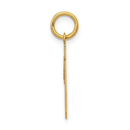 14k Yellow Gold Small Polished Number 19 Charm Pendant for Women