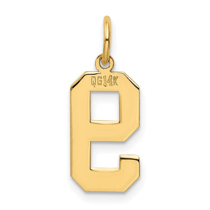 14k Yellow Gold Medium Polished Number 9 Charm