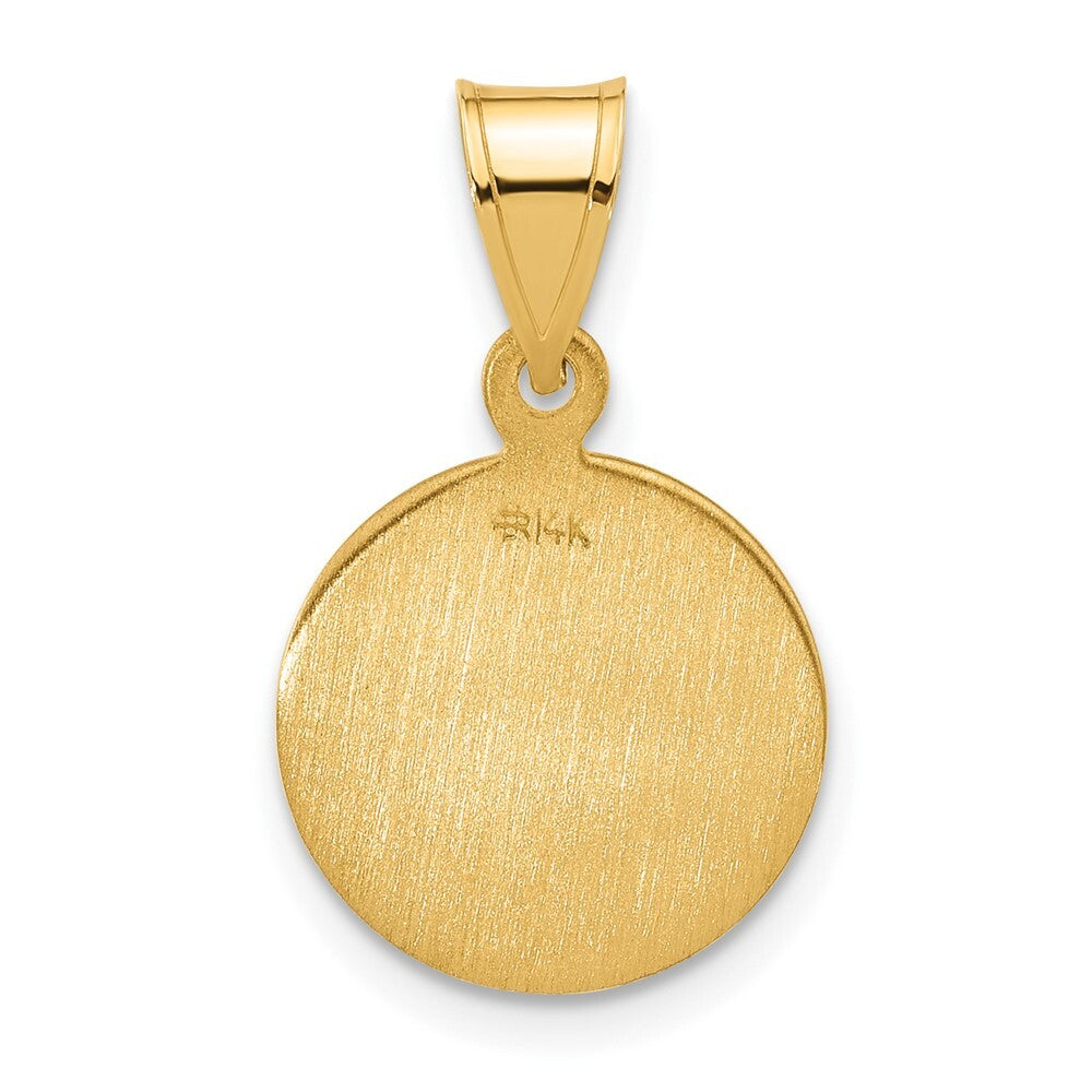 14k Yellow Gold Polished Satin Solid Our Lady of Perpetual Help Medal Pendant