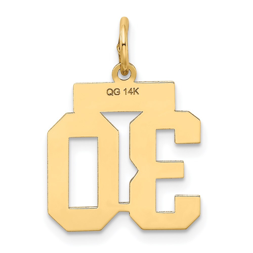14k Yellow Gold Small Satin Number 30 Charm Pendant for Women
