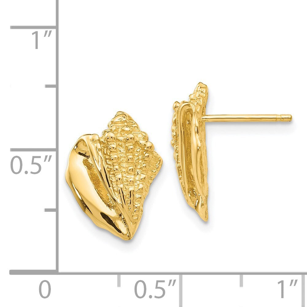 14k Yellow Gold Conch Shell Stud Earrings