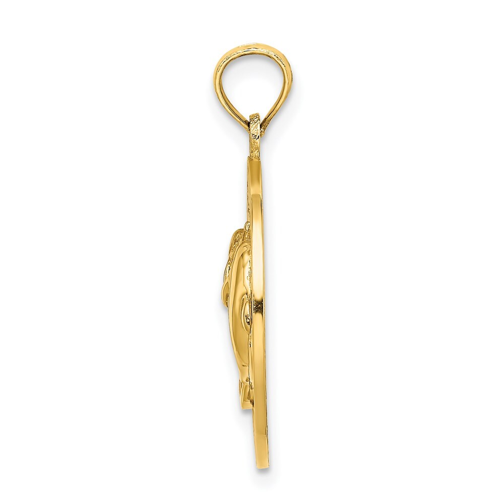 14k Yellow Gold BEAUFORT SC Dolphins Circle Charm Pendant for Women