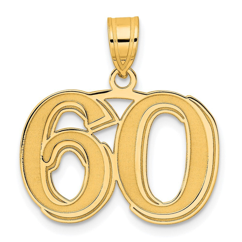 14k Yellow Gold Polished Etched Number 60 Pendant for Women