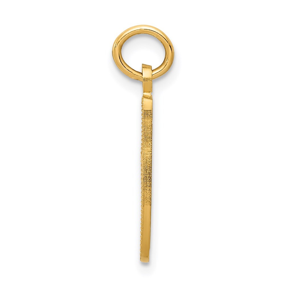 14k Yellow Gold Ballet Slipper Charm Pendant for Women