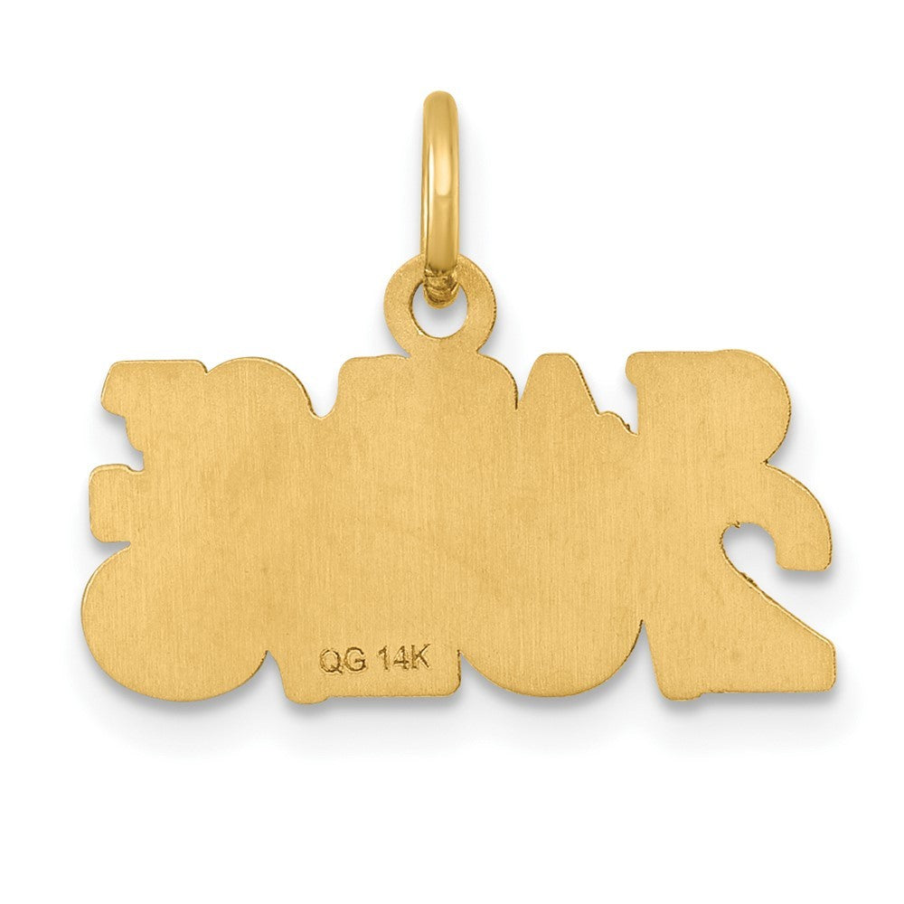 14k Yellow Gold Polished CLASS OF 2025 Charm