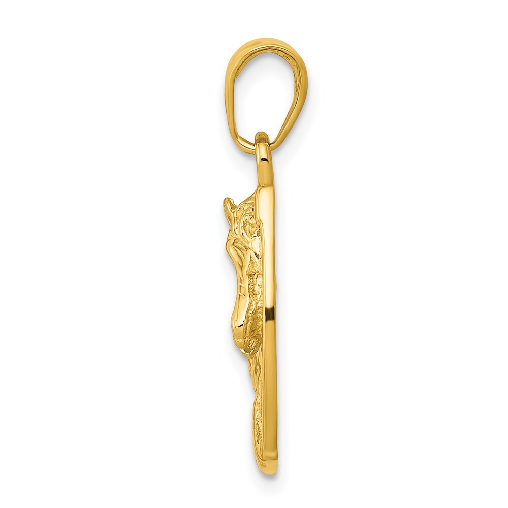 14k Yellow Gold Solid Polished Horse Head in Horseshoe Pendant for Women