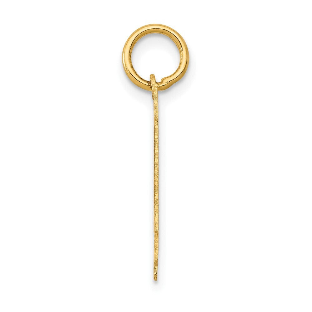 14k Yellow Gold Small Polished Number 14 Charm Pendant for Women