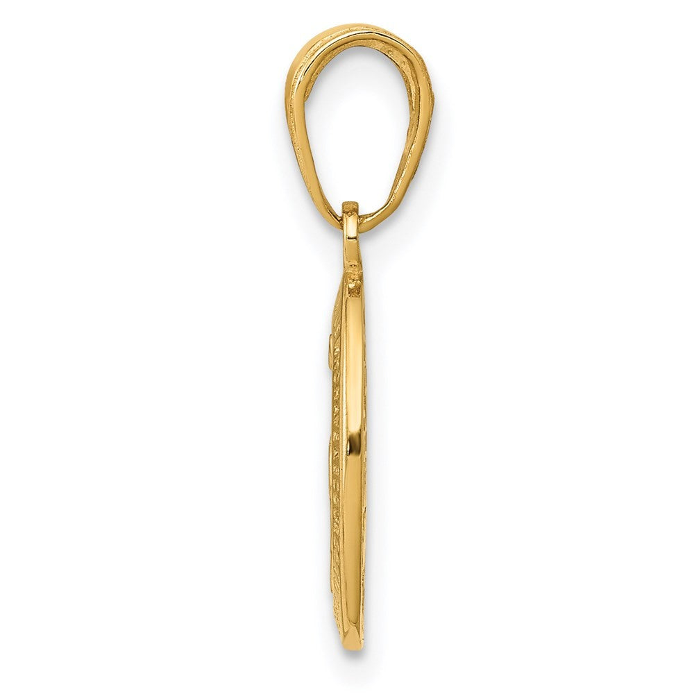 14k Yellow Gold Miraculous Medal Charm