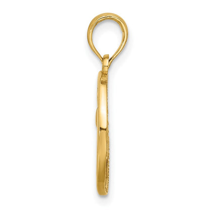 14k Yellow Gold Polished Round Pisces Pendant for Women