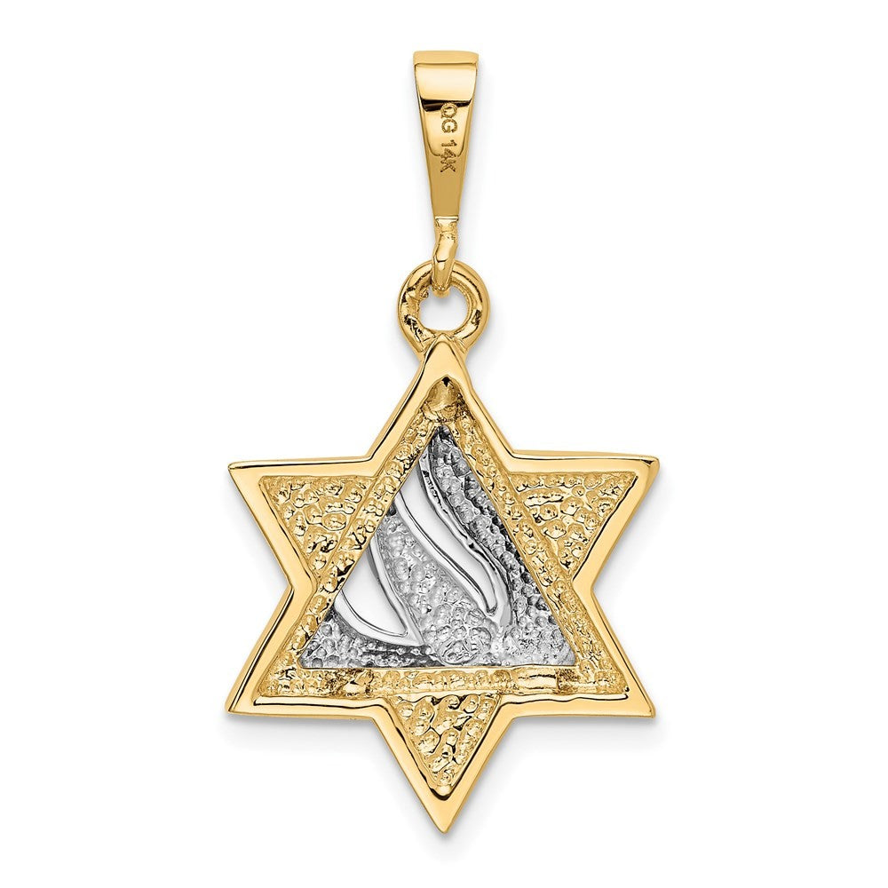 14k Two-Tone Gold Star of David Pendant