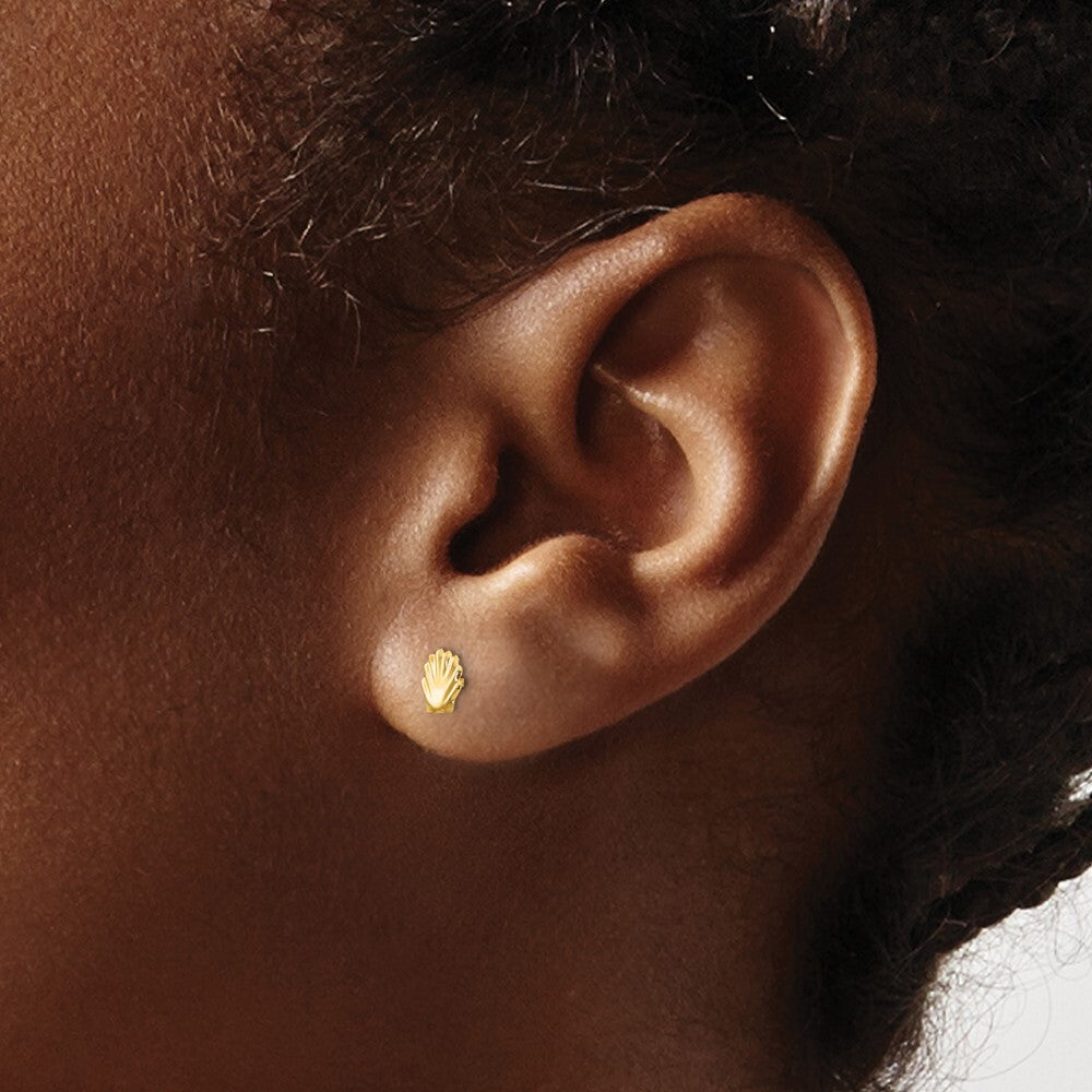 14k Yellow Gold Shell Stud Earrings