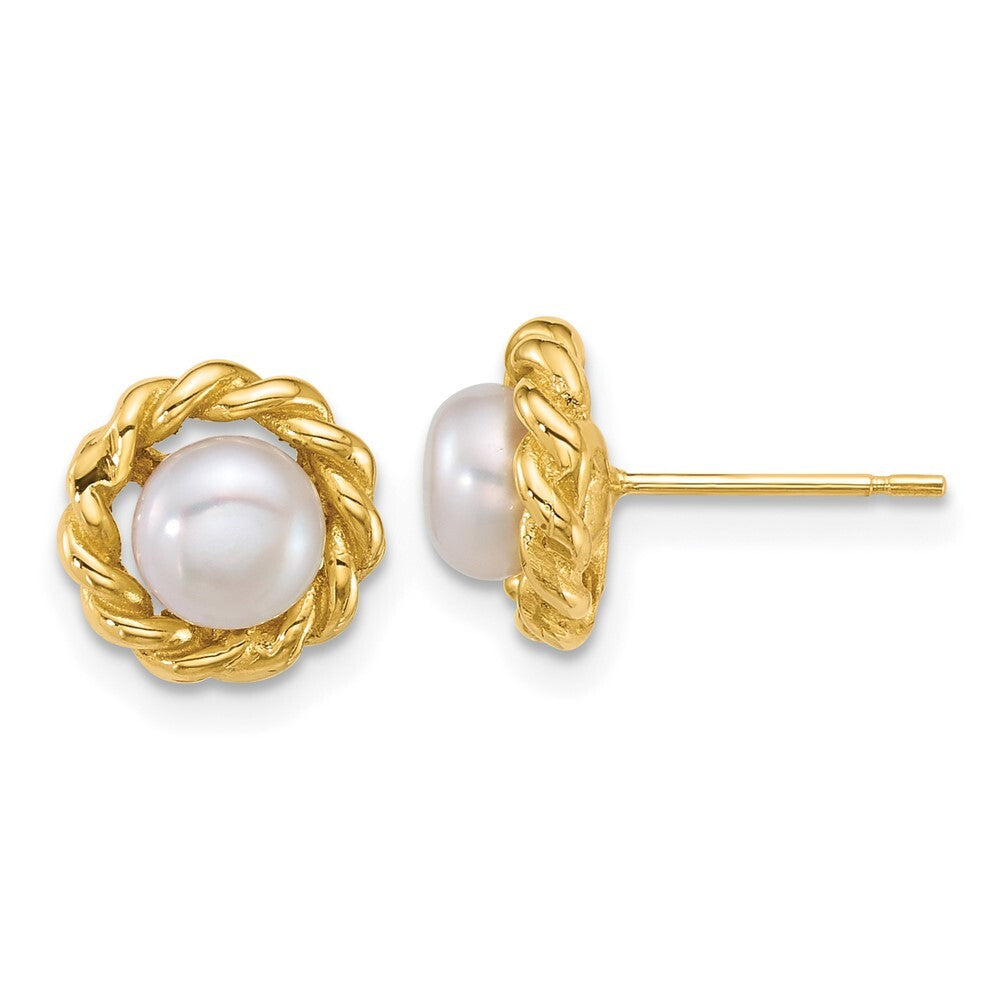 14k Yellow Gold 6mm Button Freshwater Cultured Pearl Twisted Edge Stud Earrings
