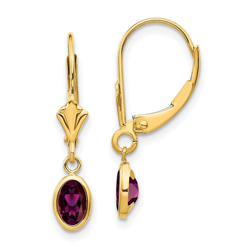 14k Yellow Gold 6x4 Oval Bezel June/Rhodolite Dangle Earrings Leverback