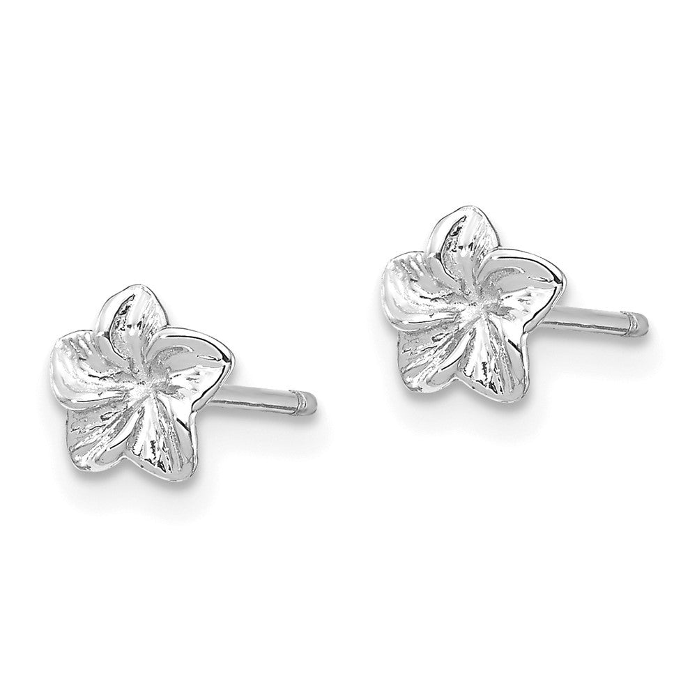 14k White Gold Plumeria Flower Earrings