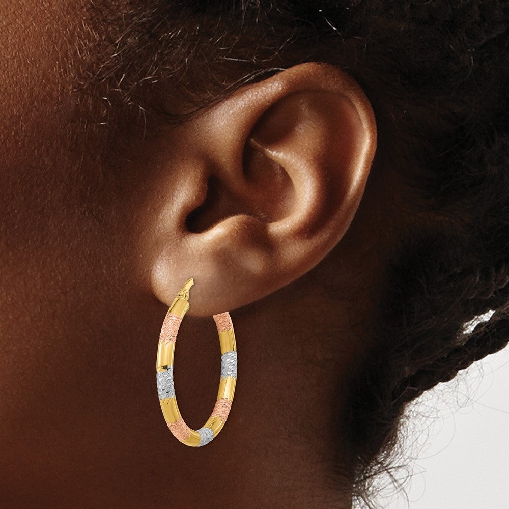 14k Yellow Gold with Rose and White Rhodium Diamond-cut 3.0mm Hoop Earrings