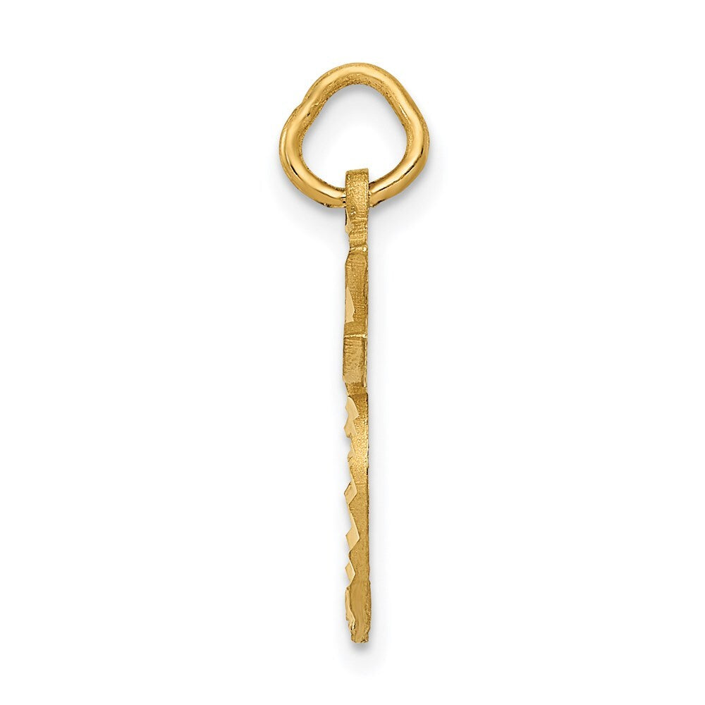 14k Yellow Gold Apple Charm Pendant for Women