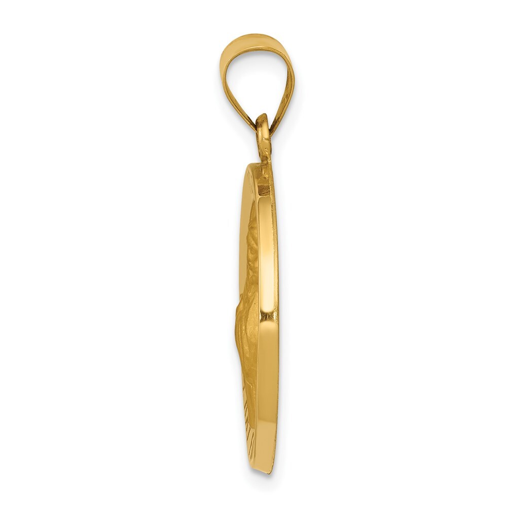 14k Yellow Gold Polished and Satin St Francis of Assisi Medal Hollow Pendant