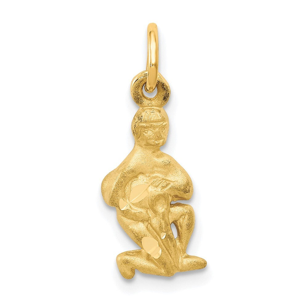 14k Yellow Gold Satin Diamond-cut Aquarius Zodiac Charm Pendant for Women