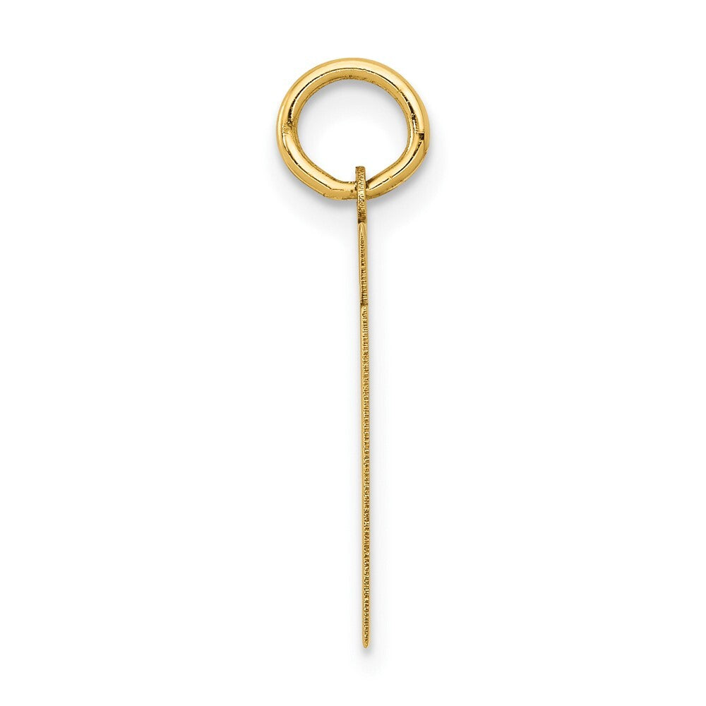 14k Yellow Gold Small Polished Number 61 Charm Pendant for Women