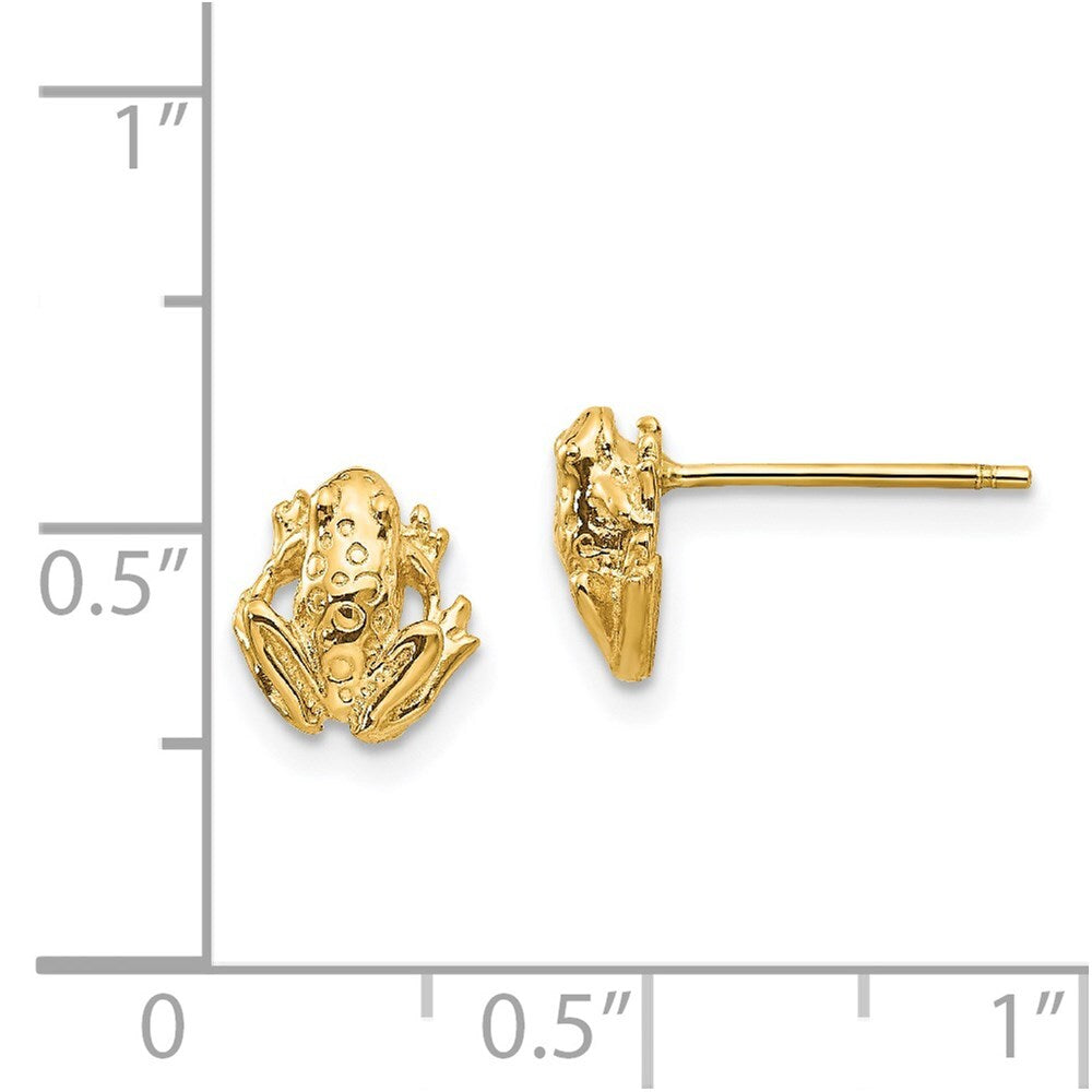 14k Yellow Gold Mini Frog Stud Earrings Gift for Women